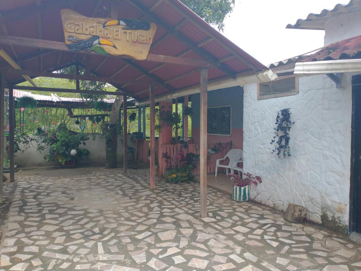 Cabana El Tucan Minca Ngoại thất bức ảnh